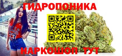дурь Кимры