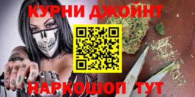 прущие грибы Кингисепп
