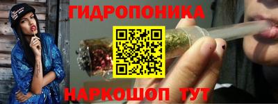 прущие грибы Кингисепп