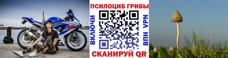 Псилоцибиновые грибы мицелий  KRAKEN ссылки  Славянск-на-Кубани 