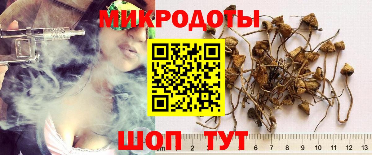 Галлюциногенные грибы мицелий  Вход с VPN  как найти закладки  Псилоцибиновые грибы Psilocybine cubensis  Славянск-на-Кубани 